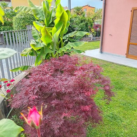 Doris' Home Pisogne Bagian luar foto